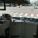 지에스25대전판암점 | 핑크뮬리 명소 대전 현대아울렛과 챔프스페이스 티라미수