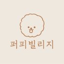 퍼피빌리지 이미지
