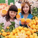돌빌레 이미지
