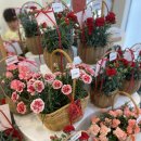 교하제일약국 | 어버이날 스승의날 카네이션 준비는 여기 🌷 파주 운정 교하 24시 무인꽃집 어먼스플라워 후기