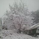 축제펜션 이미지