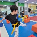 K용인대 태권도장 이미지