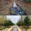 장안2교 이미지