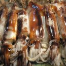 인천수산 이미지