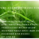 이지코퍼레이션