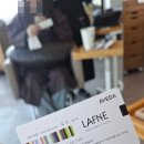 라프시스템 | 일산 애쉬염색 라프네 아베다 컨셉살롱 유리원장님