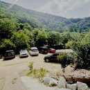 무릉계곡 1호 | 고기+계곡+테라스 삼박자 완벽! 무릉도동 솔직후기