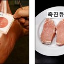 축진농장 정책브리핑