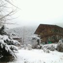 정선베다니자연농장 이미지