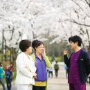 제니스병원 이미지