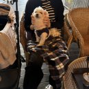 아프지말게 동물병원 | 내 강아지야 아프지마, 강아지 경련 증상, 대처방법 (feat. 수원 스카이동물메디컬센터 후기)