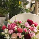 플라워샵 허니비 이미지