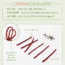 야옹아 멍멍해봐 살롱 | [야옹아 멍멍해봐 원주 명륜점]네츄럴코어 제주 말고기 육포, 저알러지 프리미엄 강아지 간식 추천