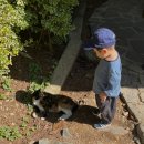 초원의원 | 가을시작, 추석, 18개월 아기랑 군산 여행