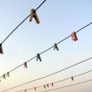 명랑한가 이미지