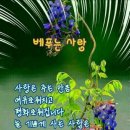 1034 Daum카페