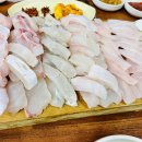 선어야술이야 이미지