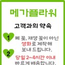 남일로(남후면) 이미지