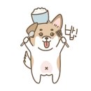 대흥장 이미지