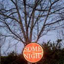 술썸 | 서귀포칵테일바 썸나잇 제주 여행 술집 후기