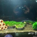 (주)씨알씨 이미지