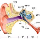 휴보청기 중랑 난청센터 이미지