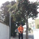 법환동-13 이미지
