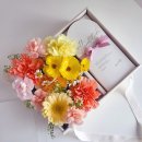 아셀플레르