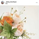 데이지부띠크 이미지