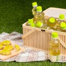 샤인유치원 이미지