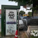 창평한우암소집