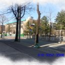 궁동 한빛아파트버스정류장 이미지