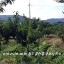청도공인중개사사무소 이미지