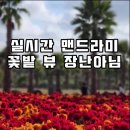 11월 제주도 가볼만한곳들 남은 가을 참고하기 좋은곳 띠용 (1분미만영상 빠르게) 이미지