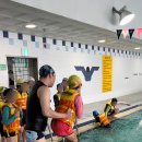 짐나지움 리틀 & 스위머스 탄 이미지