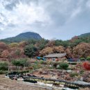 황매산 허굴산방 이미지