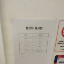 마무네뜨 이미지
