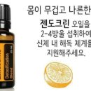 라이프에센셜