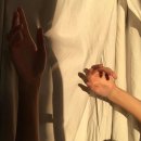 IVORY(아이보리) 이미지