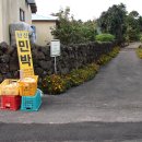 고정화할망집 이미지