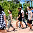 월드 합기도 이미지