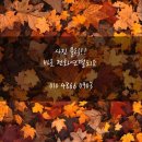 산울림청소년센터-2 | 부천 블라인드 커튼 ♤ 춘의동 산울림청소년센터 로고실사 롤스크린 시공후기 ~♡
