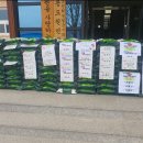 무릉도원면-11 이미지