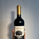 Albero (알베로) | [스페인 레드 와인]알베로 보얄 2023 (Albero Boyal 2023) 후기 / 와인킹 구독 와인무 와인