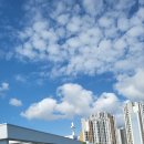 이해인 수녀님께서 [민들레의영토]회원님과 독자들께 알리는 말씀입니다. 이미지