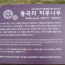 미루 이미지