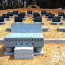 흥양조경