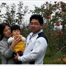 도겸농장 네이버블로그