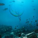 이카로스 이미지