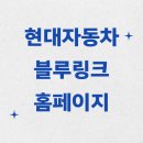 현대자동차 블루링크 홈페이지 이미지